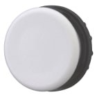 EATON - EAO216389 M22-B-GVP TAPPO, GRIGIO (7035), TONDO