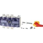 EATON - EAO6094970 DMV-250/4/M4/P-R SEZ 4P 250A ALB MAN ROS