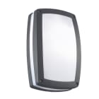 ROSSINI - RSS10017-AN APPLIQUE/PLAFONIERA ANTRACITE E27 IP54