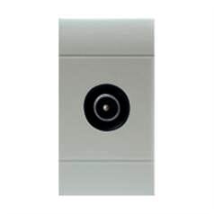 SCAME PARRE SPA - SCA101.6431.01G PRESA TV MASCHIO TERMINATA GRIGIA