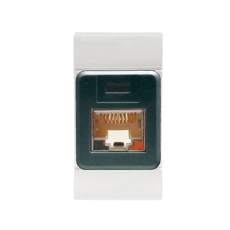 SCAME PARRE SPA - SCA101.6481.60G PRESA EDP RJ45CAT.6 8/8UTP(N/SCHER.) GR