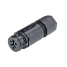 WIELAND ELECTRIC SRL - WIE41.031.3053.1 CONNECTOR FA R ST08I3 S B1 ZR1 H SW