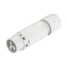 WIELAND ELECTRIC SRL - WIE46.032.4553.0 CONNECTOR MALE RST16I3 S S1 ZT4 GL