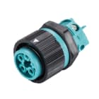 WIELAND ELECTRIC SRL - WIE46.051.5053.6 FEMMINA INCASSO RST16I5 S B1 M03 A TB