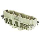 WIELAND ELECTRIC SRL - WIE72.216.1253.0 INSERTO MASCHIO POW STS 4/8 NL BB AG