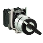 SCHNEIDER ELECTRIC - SNRXB4BG61 SELETTORE CON CHIAVE Ø 22 - 2 POS. - CON RITORNO - A CHIAVE - 1NO