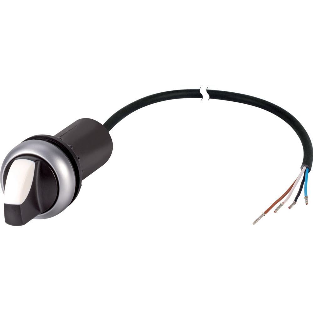 EATON - EAO186181 C22-WRK-K20-P65 SEL.MAN.RIT 2POS.2NO 3,5