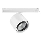 LINEA LIGHT (ILED) - ILD81816W60 OPTUS-T2 DALI 27 1L 35W FIDELITY BG