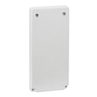 SCHNEIDER ELECTRIC - SNR13048 MUREVA ENCLOSURES PLACCA CIECA 103X225