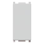 VIMAR SPA - VIW14041.SL COPRIFORO SILVER