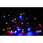 GIOCOPLAST NATALE SP - GCP14309780 40 LUCCIOLONE A LED MULTI PROLUNGABILE