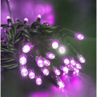 GIOCOPLAST NATALE SP - GCP14310497 40 LUCCIOLONE A LED VIOLA, CAVO SCURO