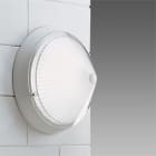 DISANO - DIS42714600 CONO 1543 MAX 105 S GRIGIO