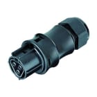 WIELAND ELECTRIC SRL - WIE96.021.4153.1 FEM.C.W.STR-REL.RST20I2S B13ZR2 SW