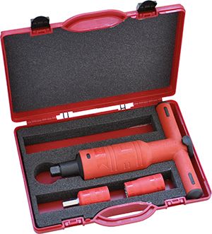 INTERCABLE SRL - INR1598010 SET CHIAVE DINAMOM. (20 NM) 3/8