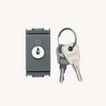 VIMAR SPA - VIW16165.CU INTERR. 2P 16(3)A +CHIAVE UNIFIC. GRIGIO