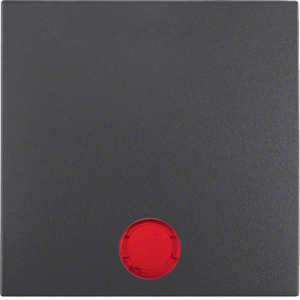 BERKER - BRK16291616 BIL.CON FISSAGGIO E LENTE S1 IP44 ANTR.