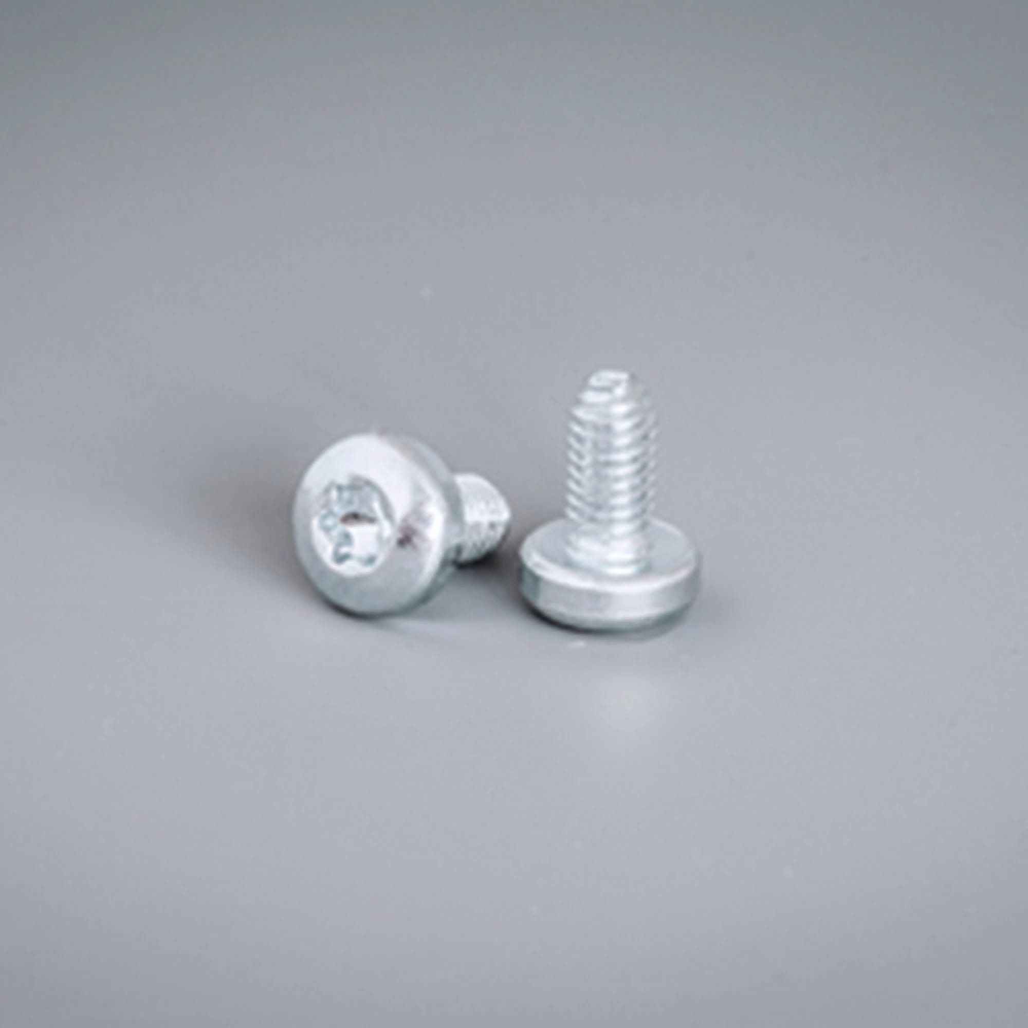 ELDON AUSTRIA GMBH - HOFCNT05 Viti materiale estrusoM5Torx