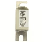 EATON - EAO170M2668 170M2668 FUSE 250A 690V 00TN/80 AR UR