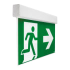 BEGHELLI - BEG17913 EXIT LGS230 DF60M