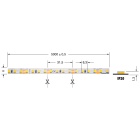 ELCART DISTRIBUTION - ERT186094400 STRISCIA LED 8W/M BC 12V IP20