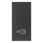 VIMAR SPA - VIW19021.P TASTO 1M SIMBOLO CHIAVE GRIGIO