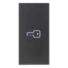 VIMAR SPA - VIW19131.P Tasto 1M simbolo chiave assiale grigio