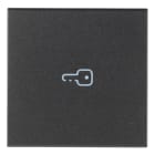 VIMAR SPA - VIW19132.P TASTO 2M SIMBOLO CHIAVE ASSIALE GRIGIO