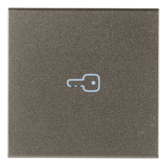 VIMAR SPA - VIW19132.P.M TASTO 2M SIMBOLO CHIAVE ASSIALE METAL