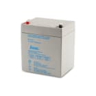 ALPHA ELETTRONICA SR - ALPBP12-5.1 Batteria al piombo 12V 5Ah - AGM