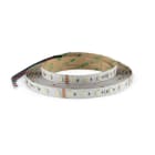 ALPHA ELETTRONICA SR - ALPJO350/14424RGBW1 Led strip 60 Led/m 5050 - 24Vdc - 14,4W/m - RGBW Warm white
