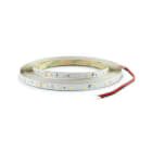 ALPHA ELETTRONICA SR - ALPJO350044644WW N.LED 5M 64L/M 2835 0.2W/L 24V 4.8W/M BC
