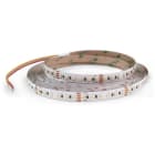 ALPHA ELETTRONICA SR - ALPJO35019243WWPW Led strip 19,2W/m - 24Vdc - 120 Led/m 3528 - CCT adjustable