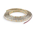 ALPHA ELETTRONICA SR - ALPJO3650921204W1 Led strip 120 Led/m 2835 0,2W - 12Vdc - 9,6W/m - Warm white
