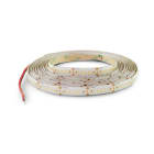 ALPHA ELETTRONICA SR - ALPJO3651942404NW N.LED 5M 24V19.2W240L/M 2835/0.2 IP65 BN