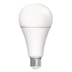 ALPHA ELETTRONICA SR - ALPLBA80/20-1PW LAMP.BULBO LED 20W 230V E27 6000K