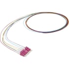 MAYFLEX UK LIMITED - EXL200-547 EXCEL ENBEAM PIGTAIL OM4 LC/UPC 12 COLOU