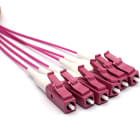 EXCEL - EXL200-647 Pigtails OM4 50/125 LC/UPC 1m violetto 1