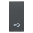 VIMAR SPA - VIW20021.P TASTO 1M SIMBOLO CHIAVE GRIGIO