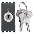 VIMAR SPA - VIW20086.CU PULSANTE 2P NO 16A +CHIAVE UNIF. GRIGIO