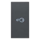 VIMAR SPA - VIW20131.P Tasto 1M simbolo chiave assiale grigio