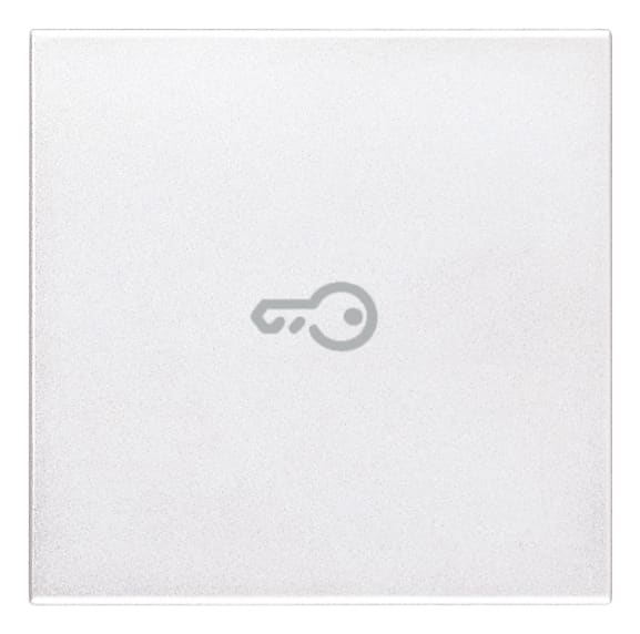 VIMAR SPA - VIW20132.P.B TASTO 2M SIMBOLO CHIAVE ASSIALE BIANCO