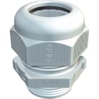 OBO BETTERMANN - OBO2022901 VTEC VM16UV LGR PRESSACAVO