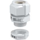 OBO BETTERMANN - OBO2024922 VTEC TB25 1418 PRESSACAVO SEPARABILE