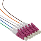 MAYFLEX UK LIMITED - EXL204-322 EXCEL ENBEAM PIGTAIL OM4 LC/UPC 12 COLOU