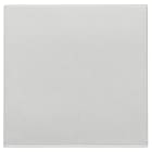 VIMAR SPA - VIW20506.2.N Tasto 2M comando radiofrequenza Next