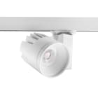 FEILO SYLVANIA ITALY - SYL2059693 BEACON XL CRI93 3K WB L3+DALI BIANCO