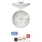 THEBEN SRL - THE2079500 THEPREMA S360 KNX UP BIANCO