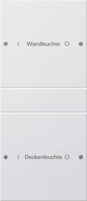 GIRA - GIR220203 SETBIL.2-M(1+1)SCRIV.SYSTEM55BNCPUR