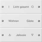 GIRA - GIR220327 SETBIL.3-MSCRIV.SYSTEM55BNCPUROS(VE